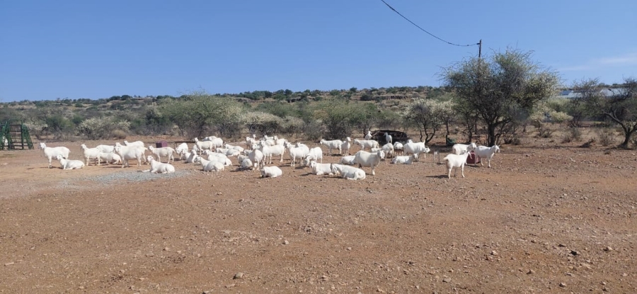 Commercial Property for Sale in Douglas Rural Northern Cape